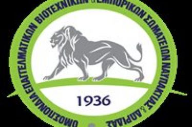 Τι ισχύει για ασφαλιστικές εισφορές, οφειλές σε ρύθμιση, υποχρεώσεις προς…
