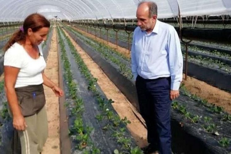 Τομέα Αγροτικής Ανάπτυξης-Τροφίμων και Υπαίθρου.  Ολοκληρωμένες προτάσεις για τη στήριξη του πρωτογενή τομέα