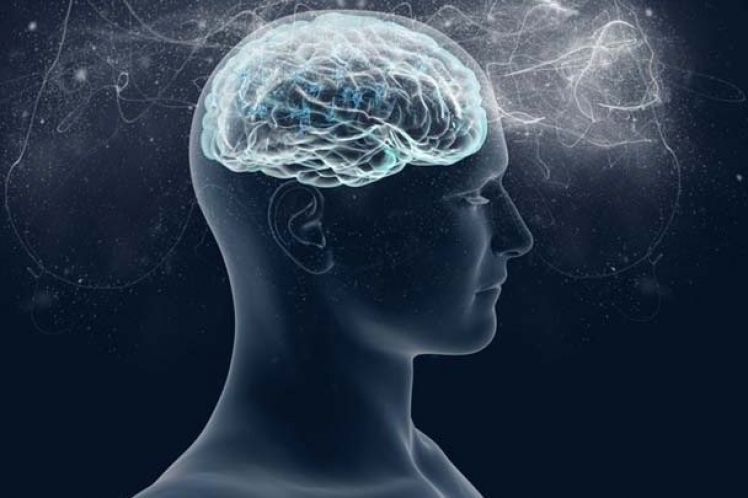 Δημιουργήθηκε η πρώτη τεχνητή σύναψη εγκεφάλου που επικοινωνεί με τα ζωντανά κύτταρα