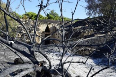 Η μυρωδιά του καμένου δεν έφτασε στη μύτη της κ.…