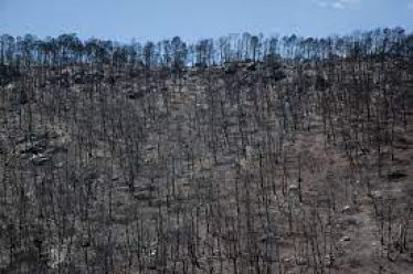 Μια σκληρή και βίαιη εποχή να είσαι δημοσιογράφος στις Κάτω…