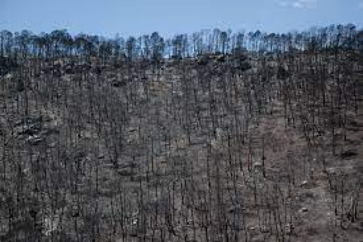 Μια σκληρή και βίαιη εποχή να είσαι δημοσιογράφος στις Κάτω Χώρες
