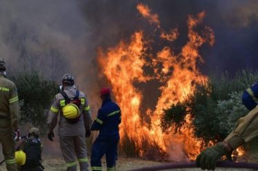 Μια διαφορετική προσέγγιση για τη δασοπυρόσβεση