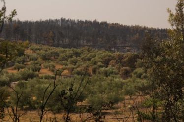 Ανώτατο στάδιο του Μητσοτακισμού