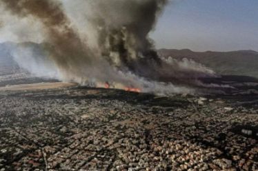 Εμπρηστής των δασών και των ζωών μας, είναι η ακραία…