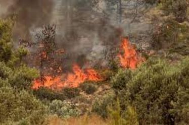 Μέτρα ανακούφισης και στήριξης των πληγέντων από τις πυρκαγιές