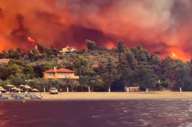 Συνέντευξη – Ροβιές: «Καμιά εταιρεία και κανένας ανάδοχος στα δάση…