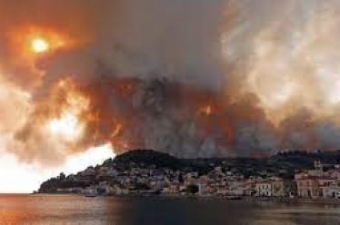 Τί γυρεύουν οι ανάδοχοι στα δάση;