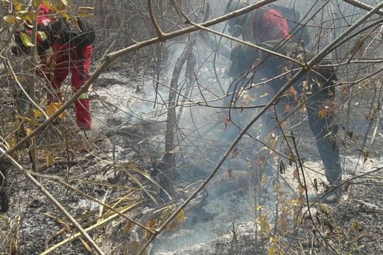Πυρκαγιές απανθράκωσαν 36 εκατ. στρ. δάσους, βοσκοτόπων και καλλιεργειών στη Βολιβία
