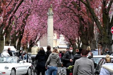 Τα δέντρα δροσίζουν έως 12 βαθμούς τις ευρωπαϊκές πόλεις