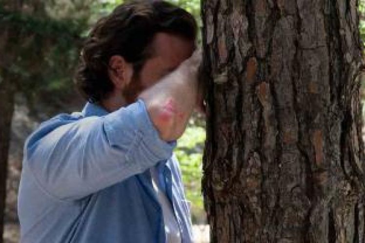 Με αφορμή την Αυγή: το δέντρο και το δάσος