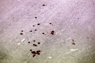 Η Θεσσαλονίκη είναι παντού, του Θανάση Σκαμνάκη