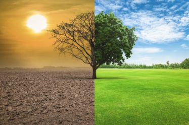 Κλιματικός νόμος: Οι νεοφιλελεύθερες πολιτικές υπαγορεύουν τις περιβαλλοντικές επιλογές. Όχι η μέριμνα για το περιβάλλον! Γ. Ηλιοπούλου – Ό. Μοσχοχωρίτου