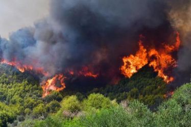 Στο ίδιο έργο θεατές…