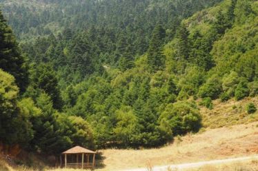 Το λειψό χωριό και η κρατική ακηδία