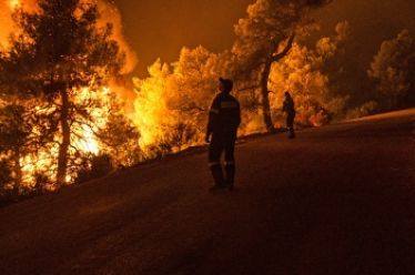 Καίνε τα δάση, καίνε τις ζωές μας, του Βασίλη Λιόση