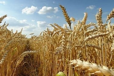 Ζελένσκι: Το πρώτο φορτίο εξαγωγών σιτηρών δεν είναι «τίποτα», η…