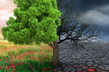 Παγκόσμιος απολογισμός COP27: οι στόχοι για το κλίμα απέχουν πολύ…