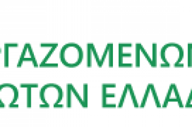 Τα βήματα που προηγούνται μέχρι τον πλειστηριασμό του Ακινήτου