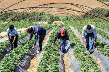 Η νέα μεταπανδημική μεταναστευτική πολιτική και οι προκλήσεις για τον…