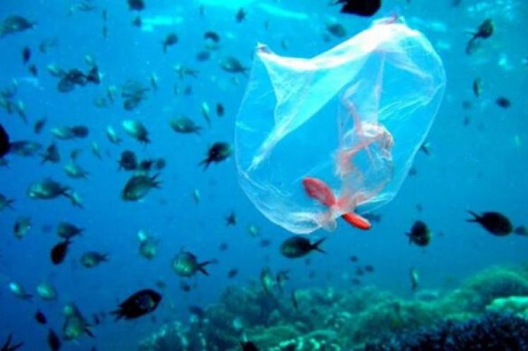 8 Ιούνη, παγκόσμια ημέρα ωκεανών: υπερθέρμανση, ρύπανση, εξαφάνιση ειδών