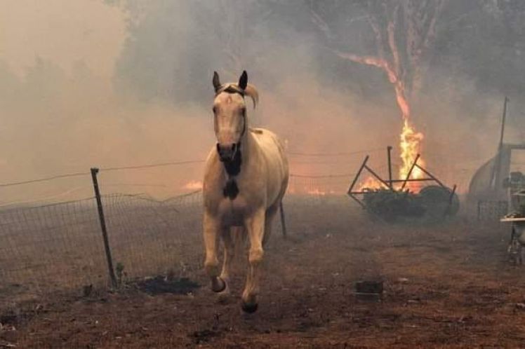 Η ανθρώπινη ζωή που… σώζεται πάνω σε καμένη γη