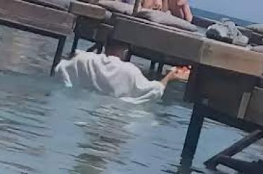 Από την εργασιακή ζούγκλα στην εργασιακή εθελοδουλία