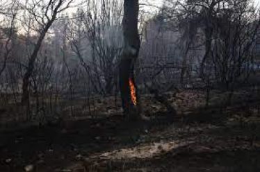 «Μόνοι μας σωζόμαστε»