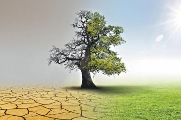 «Οι άνθρωποι μένουν στα λόγια. Η φύση πράττει»