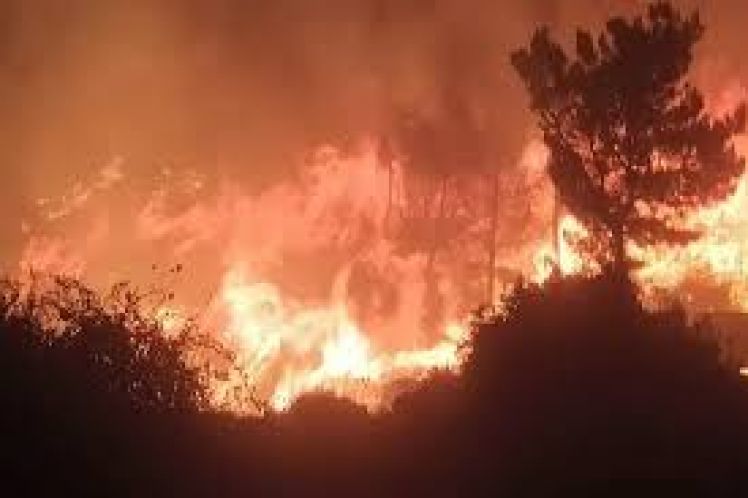 Ρόδος: ακόμα ένα έγκλημα