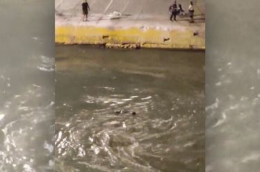 Ιστορία στον καταπέλτη, του Θανάση Σκαμνάκη