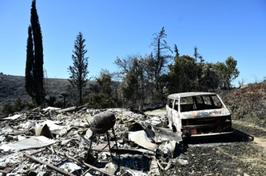 Ο νόμος του κέρδους πίσω από τις πυρκαγιές, Αντωνίας Πάνου