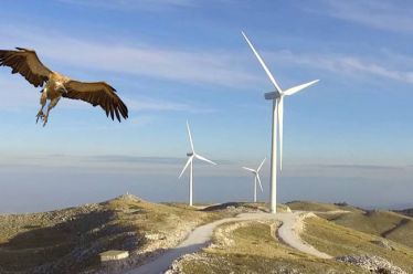 ΤΑ ΟΙΚΟΝΟΜΙΚΑ ΚΟΡΑΚΙΑ ΔΕ ΧΟΡΤΑΙΝΟΥΝ