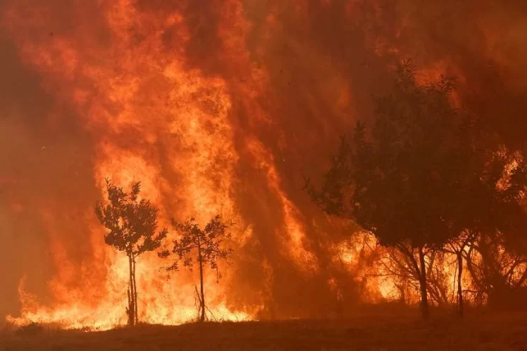 Πυρομανής καπιταλισμός