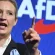 Γερμανία: Πρώτο κόμμα η AfD σε νέα δημοσκόπηση, δυσαρέσκεια για την κυβέρνηση και τον Καγκελάριο