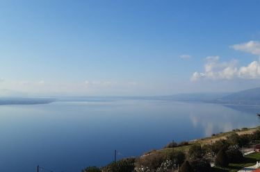 Η αρρώστια της Λίμνης! // του Γιώργου Β Σολτάτου