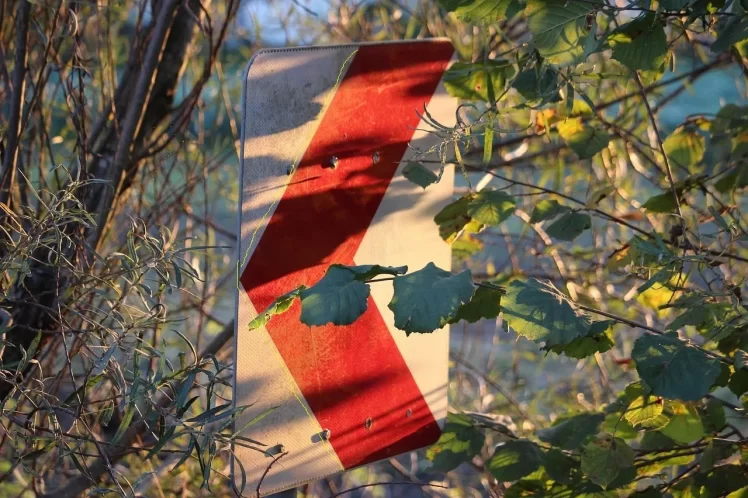 Βρείτε τα!\\\ του Κώστα Καλλωνιάτη