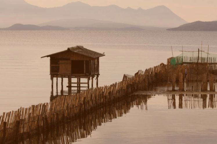 Η οικολογική κρίση του Αμβρακικού απαιτεί ελεγκτικούς μηχανισμούς και πολιτική ευθύνη