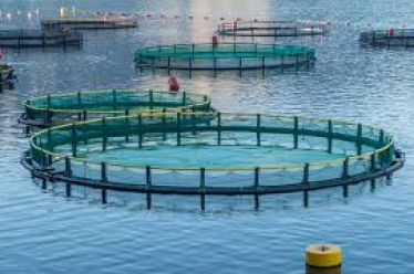Χωροταξική oργάνωση για την ελληνική θαλάσσια υδατοκαλλιέργεια