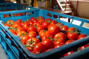Από το χωράφι στο ράφι ή πως η εφοδιαστική αλυσίδα εξοντώνει τον αγρότη και εκμεταλλεύεται τον καταναλωτή