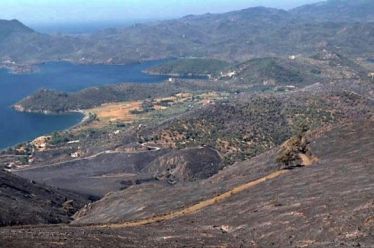ΕΙΧΑΜΕ ΚΑΠΟΤΕ ΔΑΣΗ…